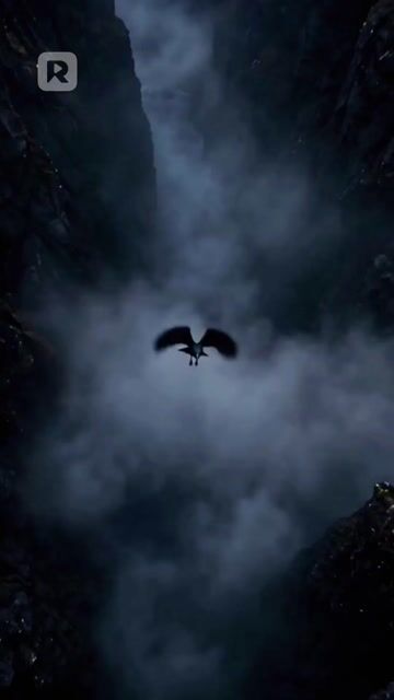 Sold to the Warlord, Born for Heaven episode 39