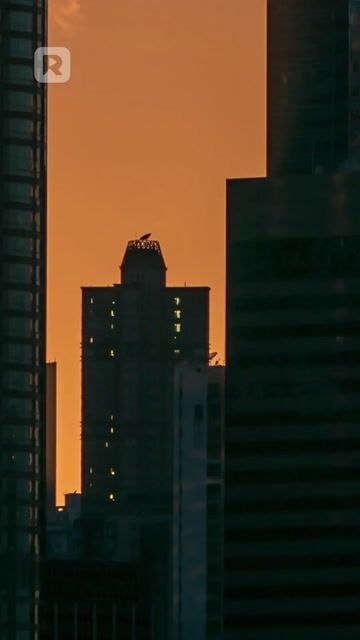 The Billionaire Heiress's Double Life episode 44