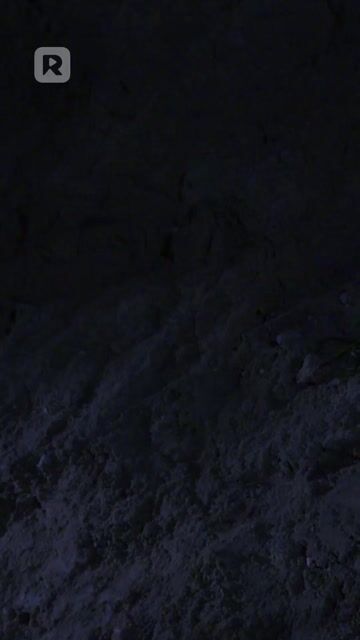 模特大战狼人 第25集